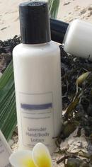 Lavender Hand/Body Lotion
